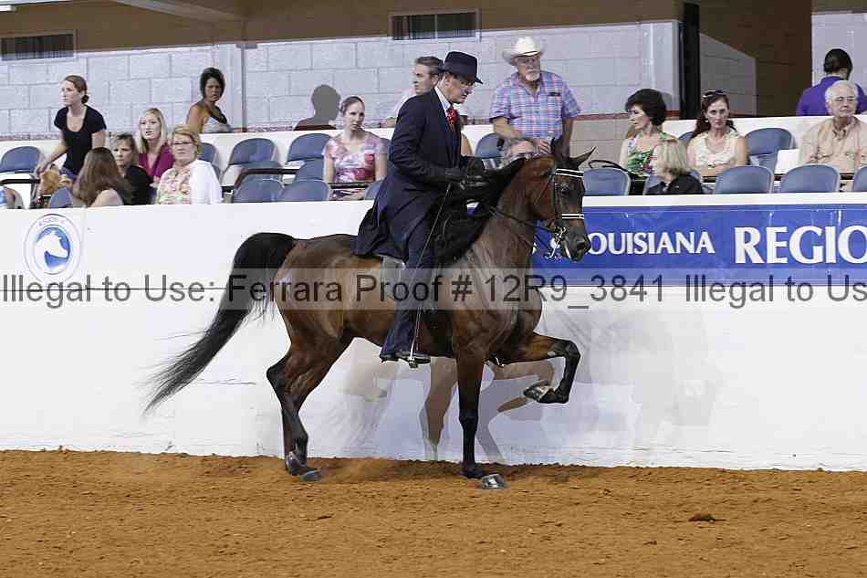 Proof 12r9_3841