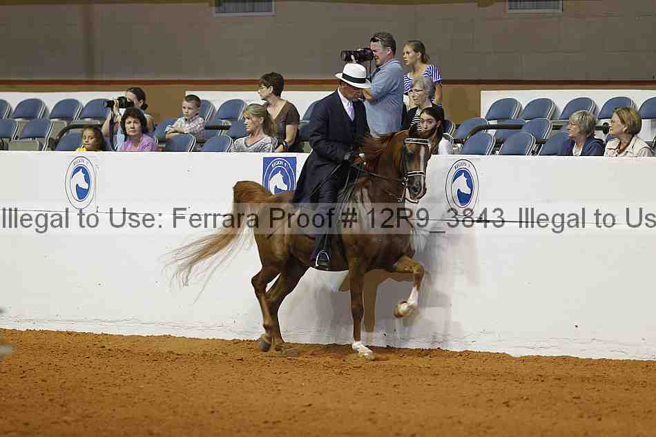 Proof 12r9_3843
