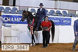 12r9_3847 proof