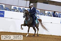 12r9_3853 proof