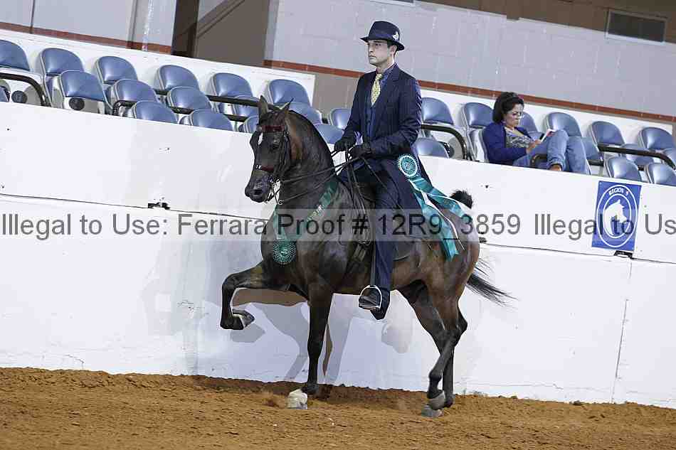 Proof 12r9_3859