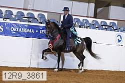 12r9_3861 proof