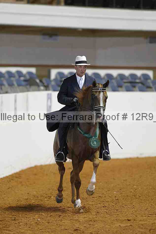 Proof 12r9_3863