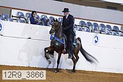 12r9_3866 proof