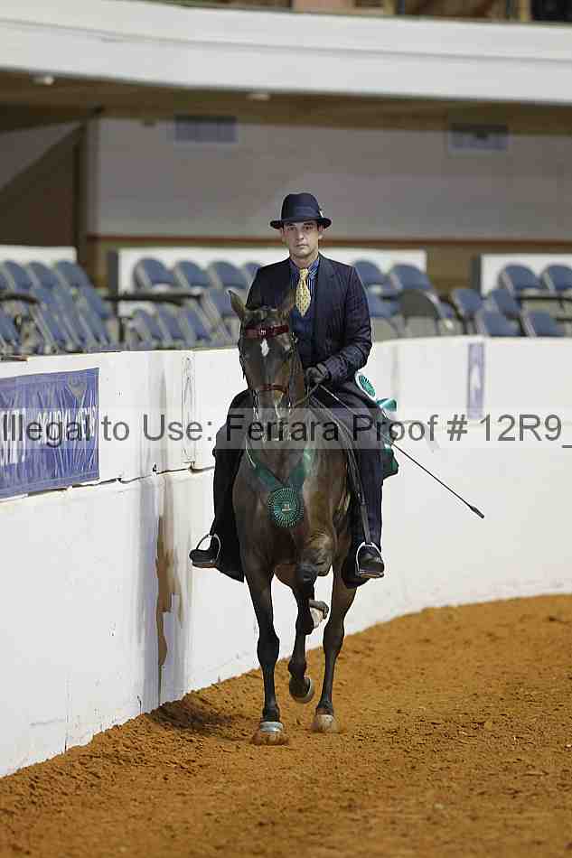 Proof 12r9_3869