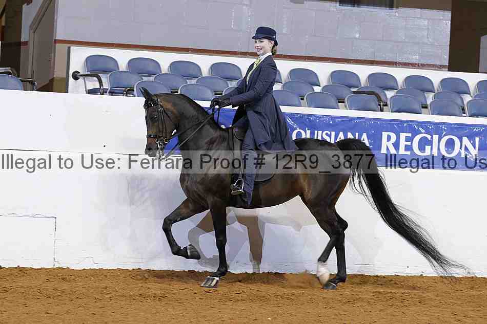 Proof 12r9_3877