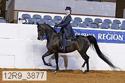 12r9_3877 proof