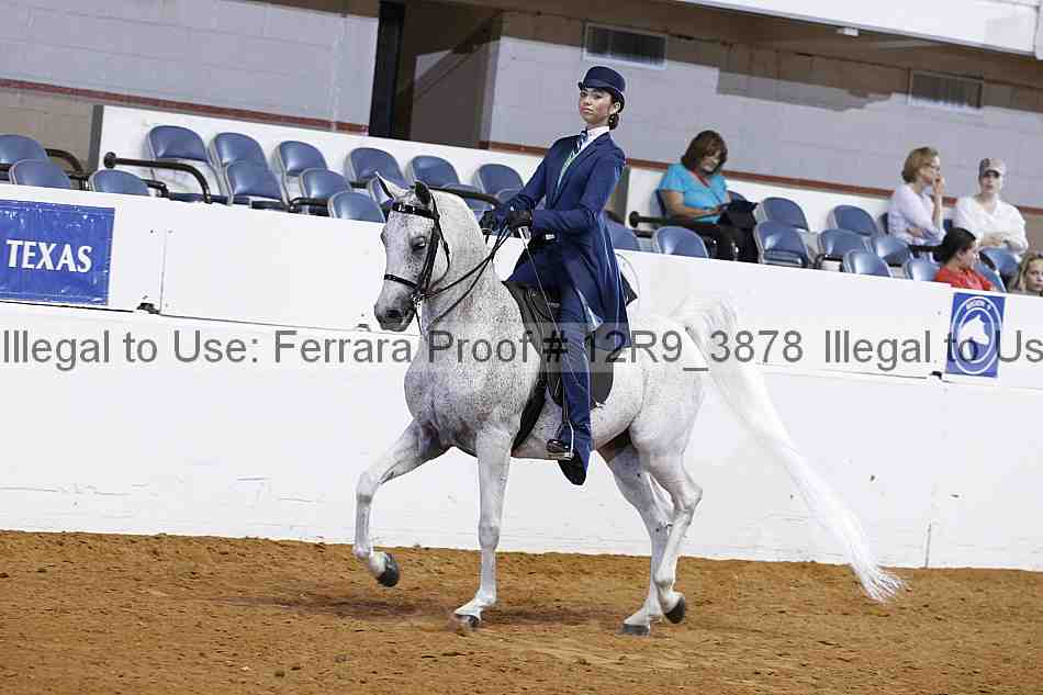 Proof 12r9_3878