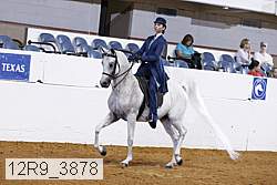 12r9_3878 proof