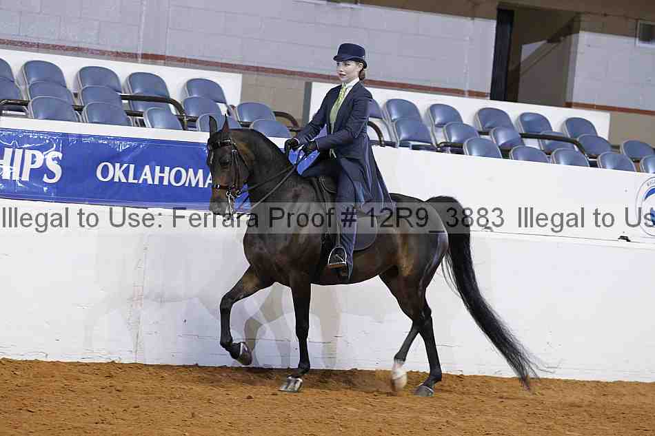 Proof 12r9_3883