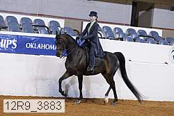 12r9_3883 proof