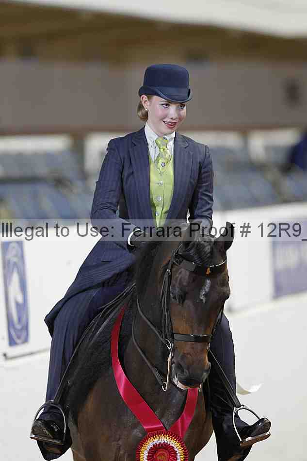 Proof 12r9_3893