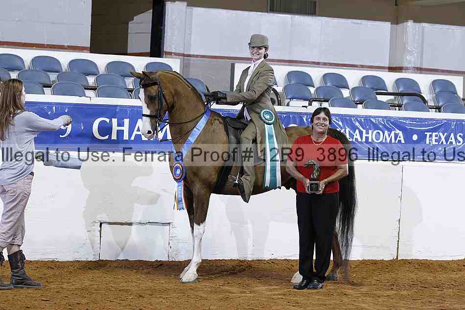 Proof 12r9_3896