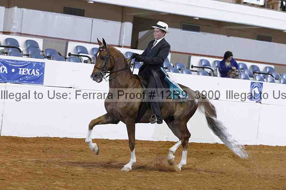 Proof 12r9_3900