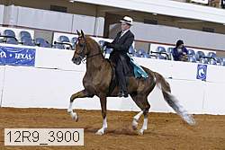 12r9_3900 proof