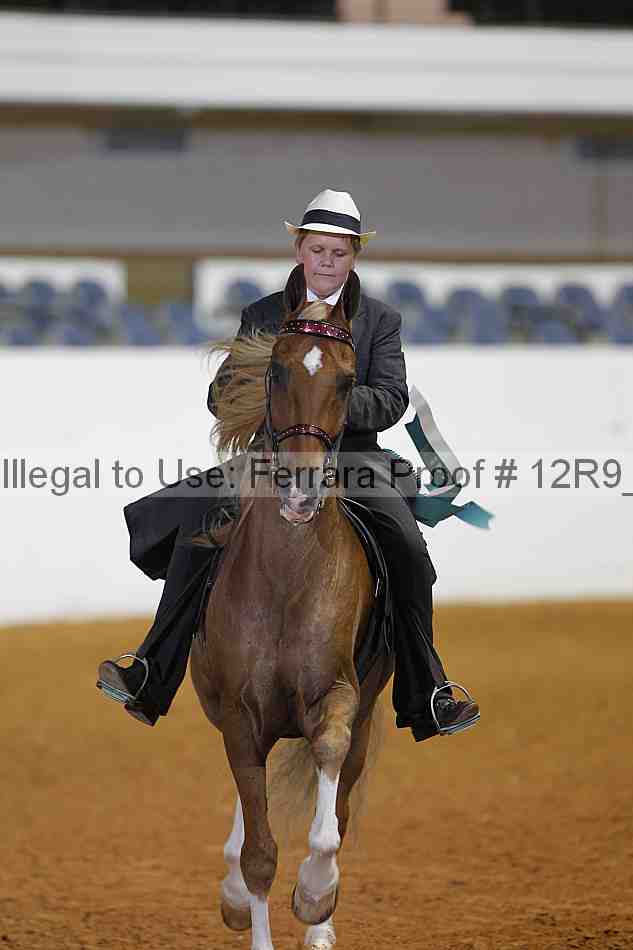 Proof 12r9_3904