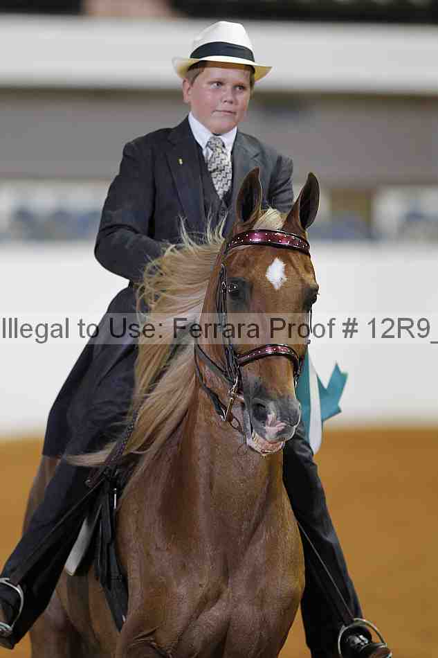 Proof 12r9_3905