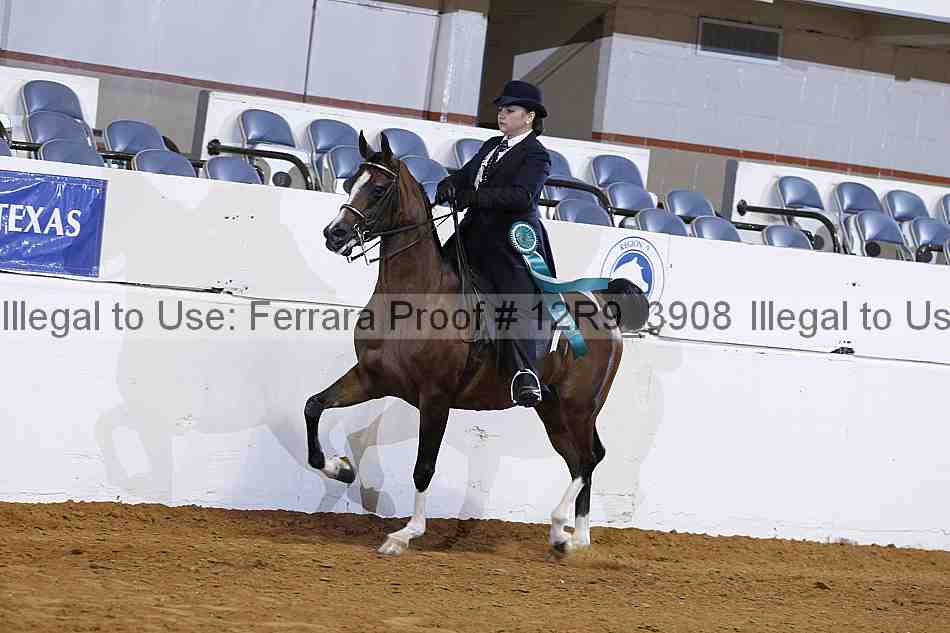 Proof 12r9_3908