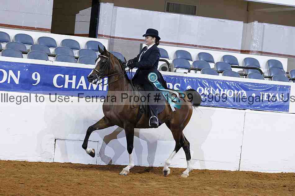 Proof 12r9_3909