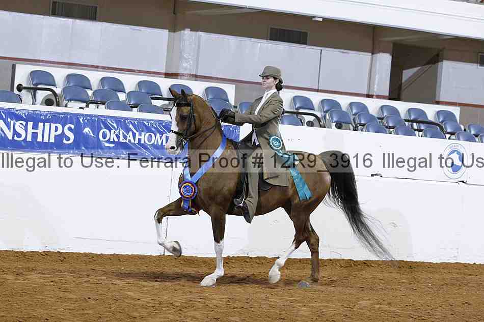 Proof 12r9_3916