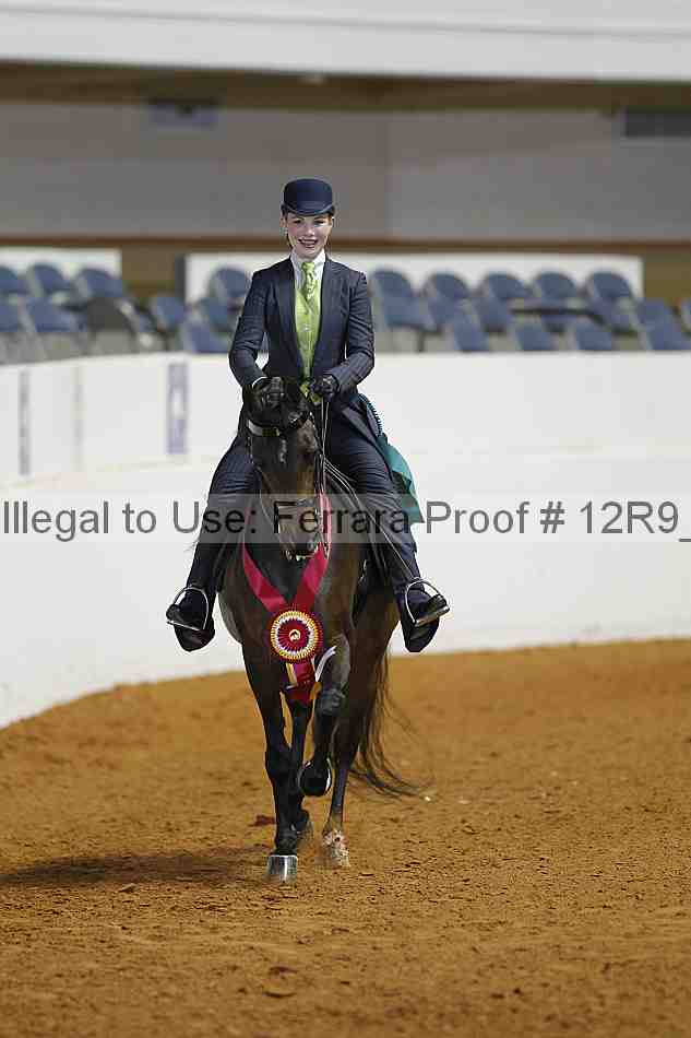 Proof 12r9_3919