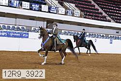 12r9_3922 proof