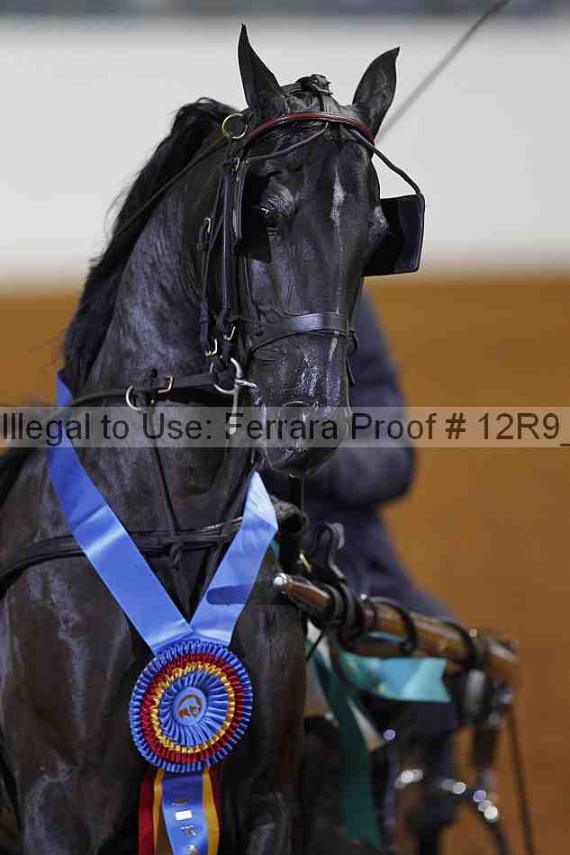 Proof 12r9_3944