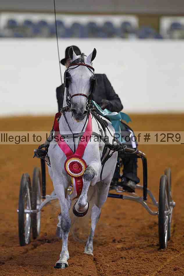Proof 12r9_3948