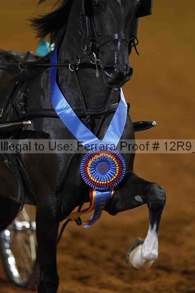 Proof 12r9_3951