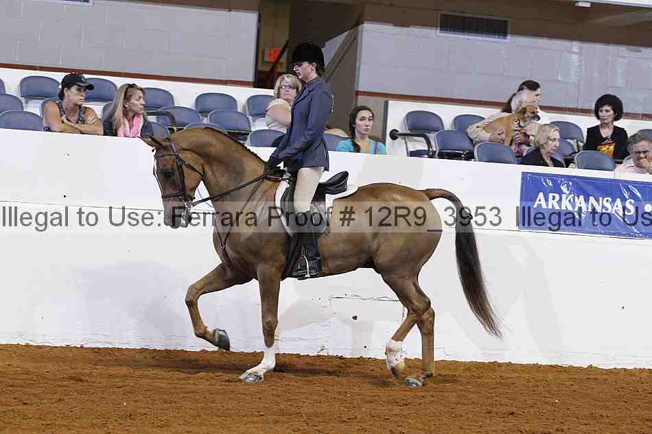 Proof 12r9_3953