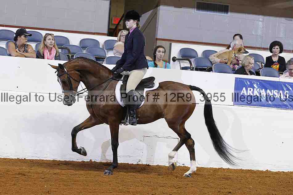 Proof 12r9_3955