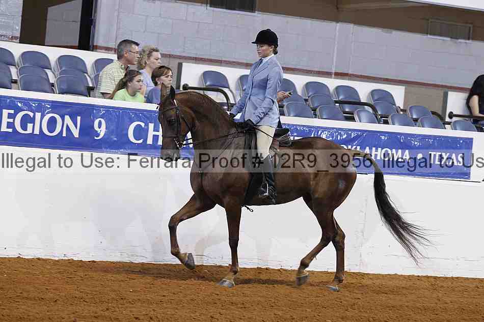 Proof 12r9_3956