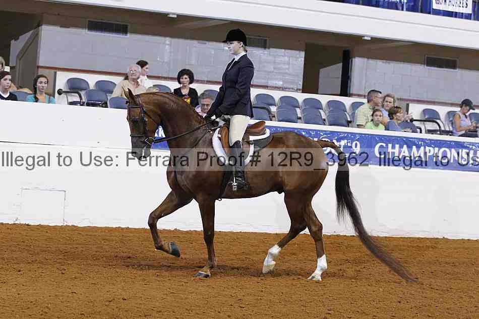 Proof 12r9_3962