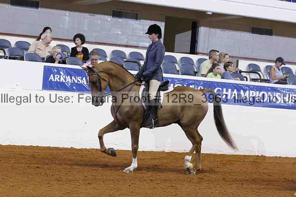 Proof 12r9_3963