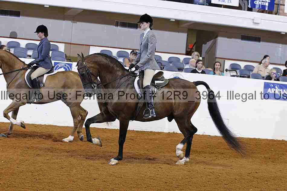 Proof 12r9_3964