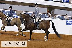 12r9_3964 proof