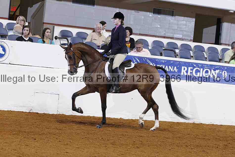 Proof 12r9_3966