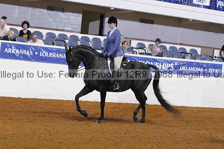 Proof 12r9_3968