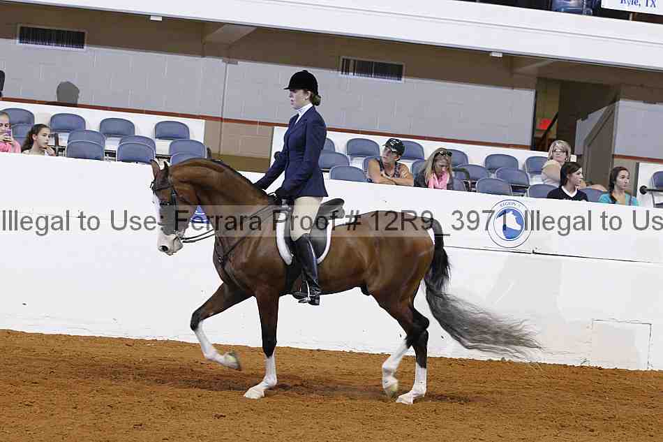 Proof 12r9_3971