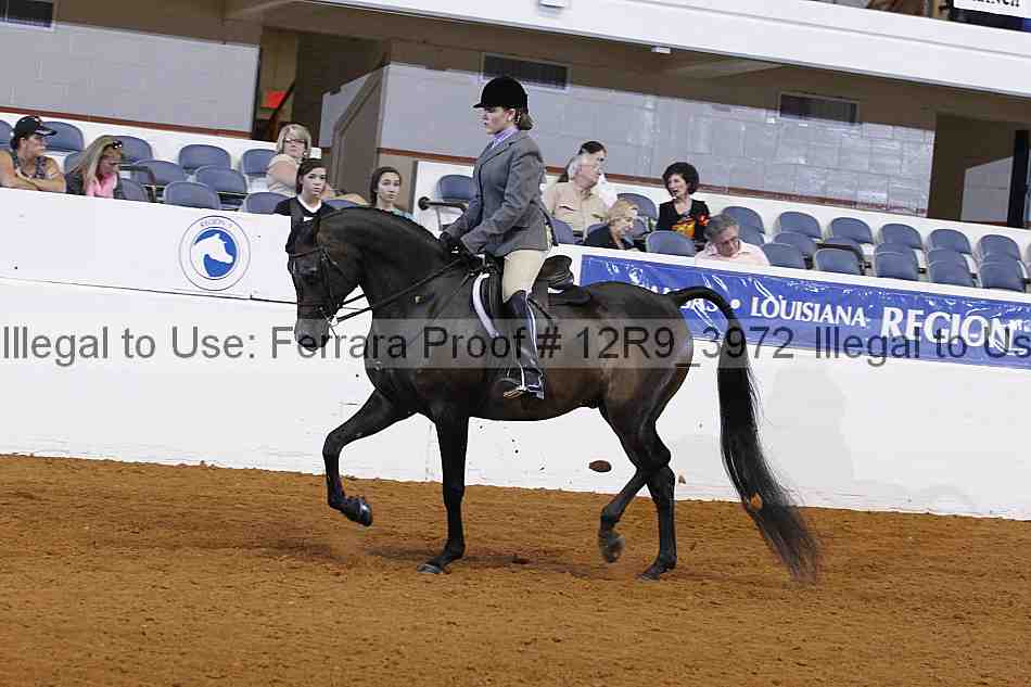 Proof 12r9_3972