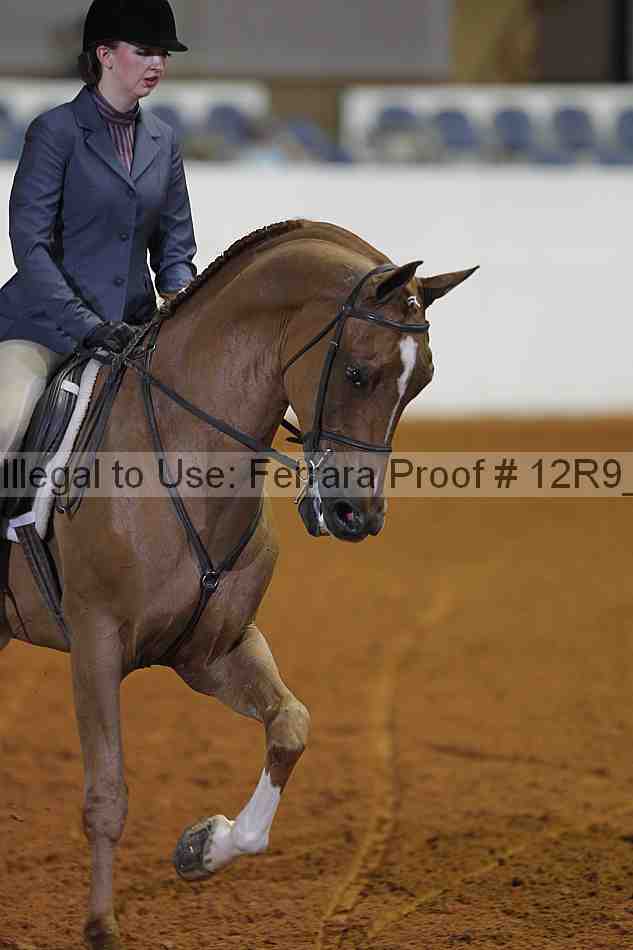 Proof 12r9_3973