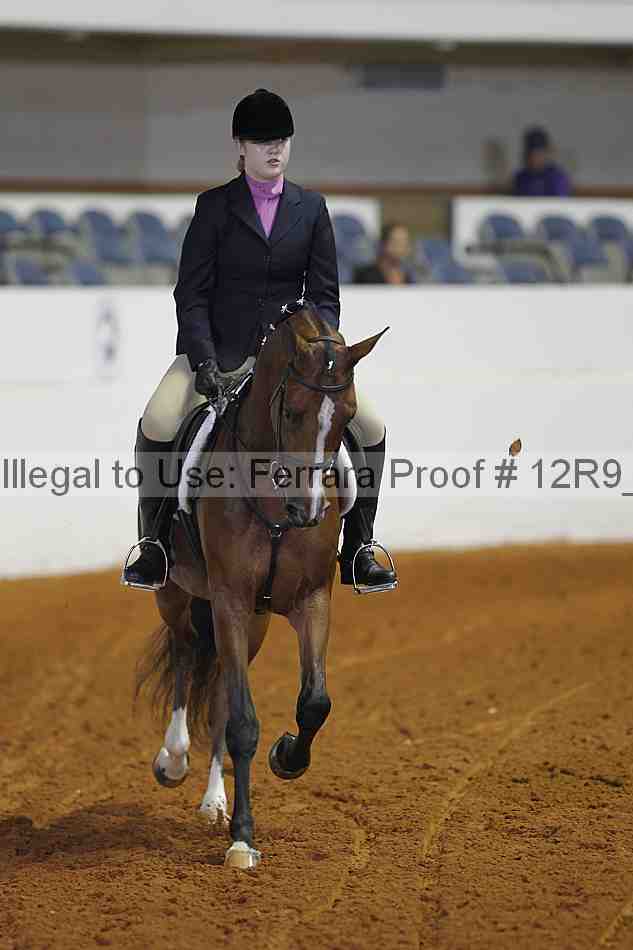 Proof 12r9_3974