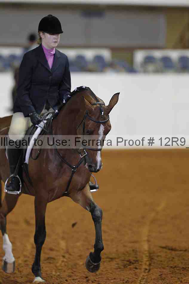 Proof 12r9_3975