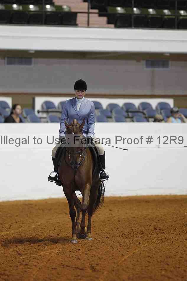 Proof 12r9_3978