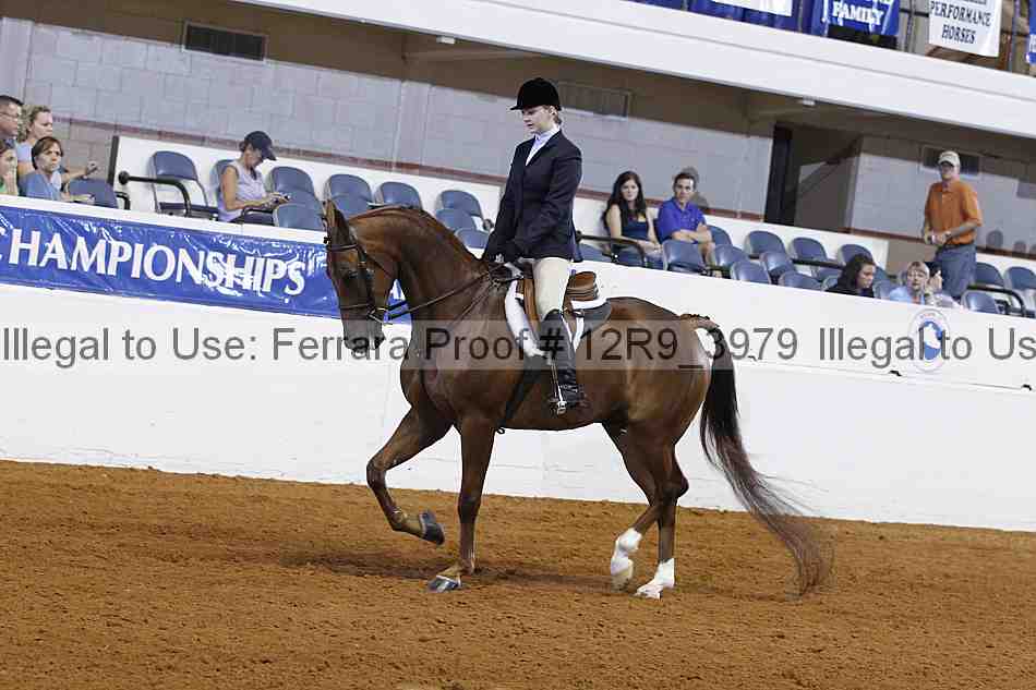 Proof 12r9_3979