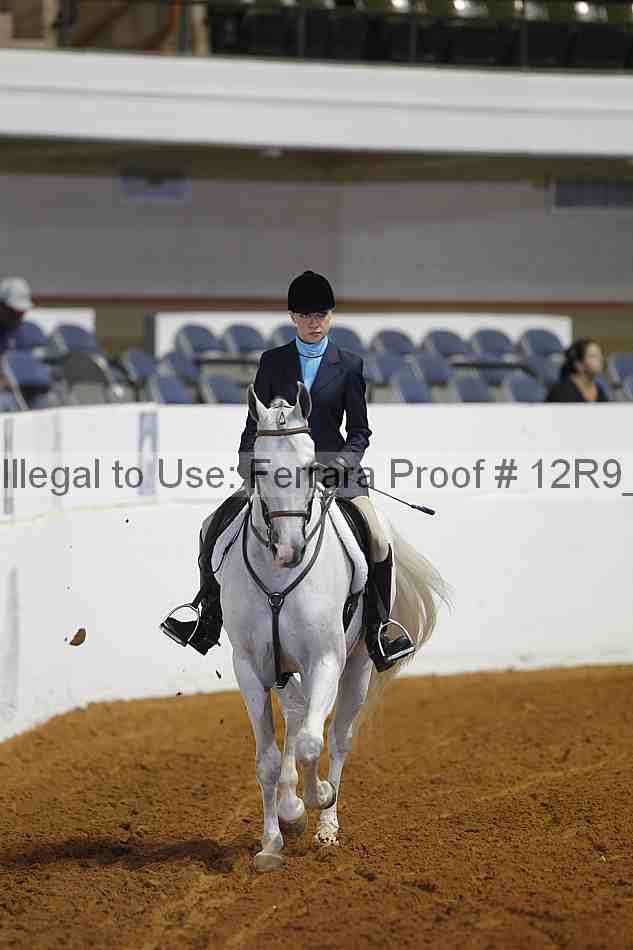 Proof 12r9_3980