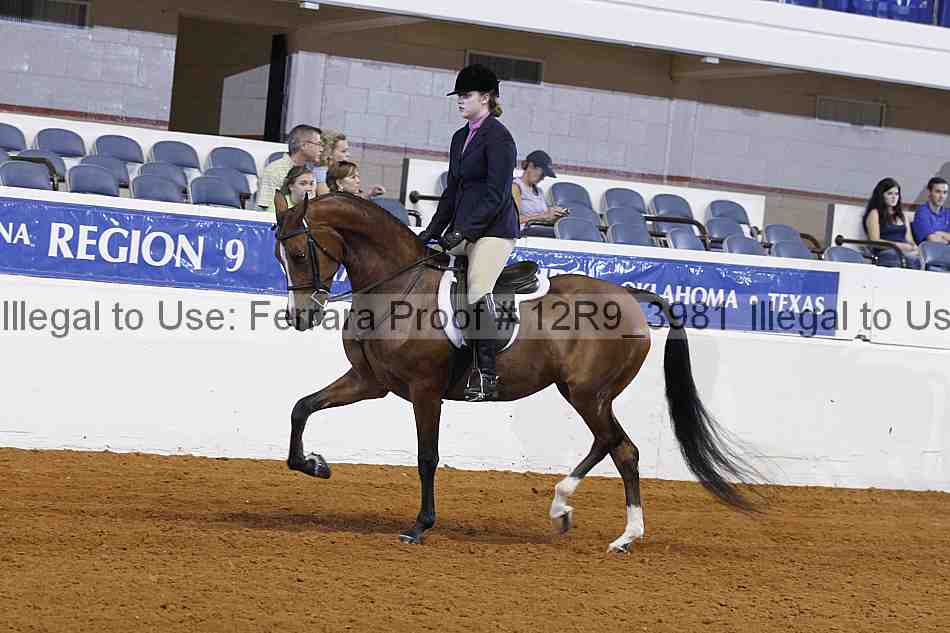 Proof 12r9_3981
