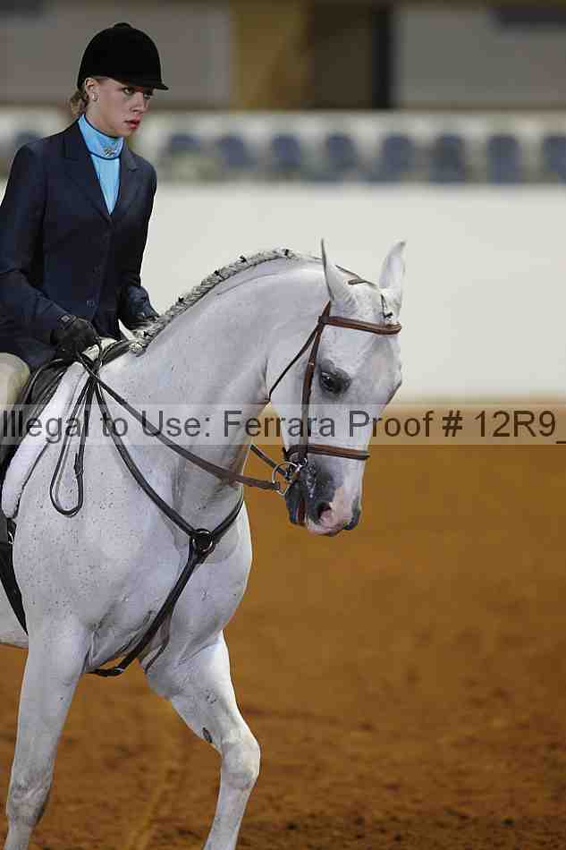 Proof 12r9_3982