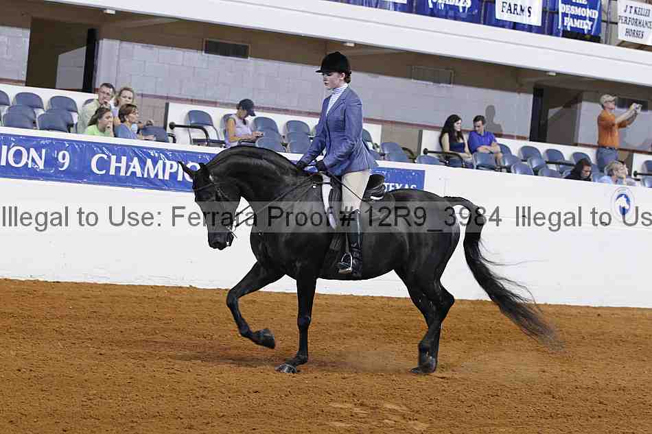 Proof 12r9_3984