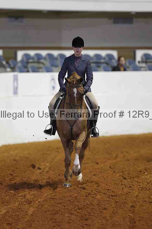 Proof 12r9_3987